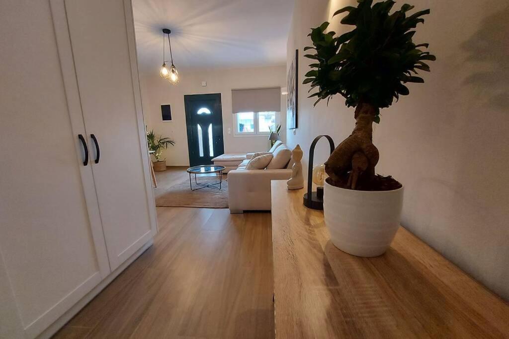 Kentia Fine Living Apartment Kanálion Buitenkant foto